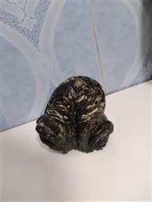 سنگ