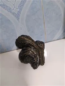 سنگ
