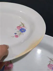 جفت