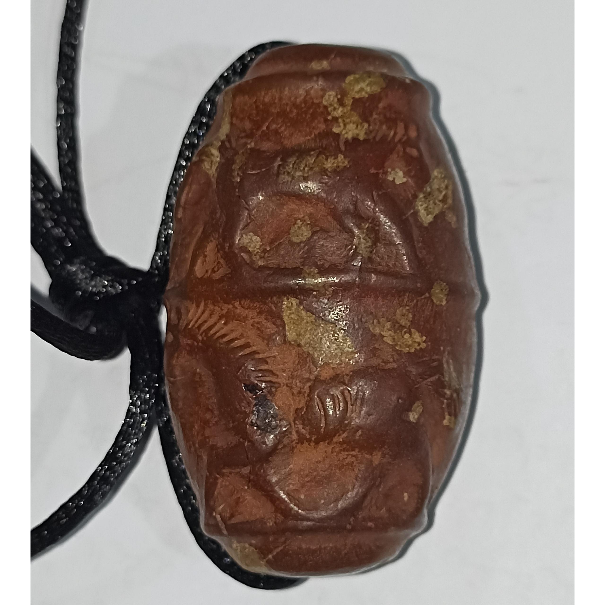 هبهاب خونی چرب مراکشی 49/36گرم خط انداز