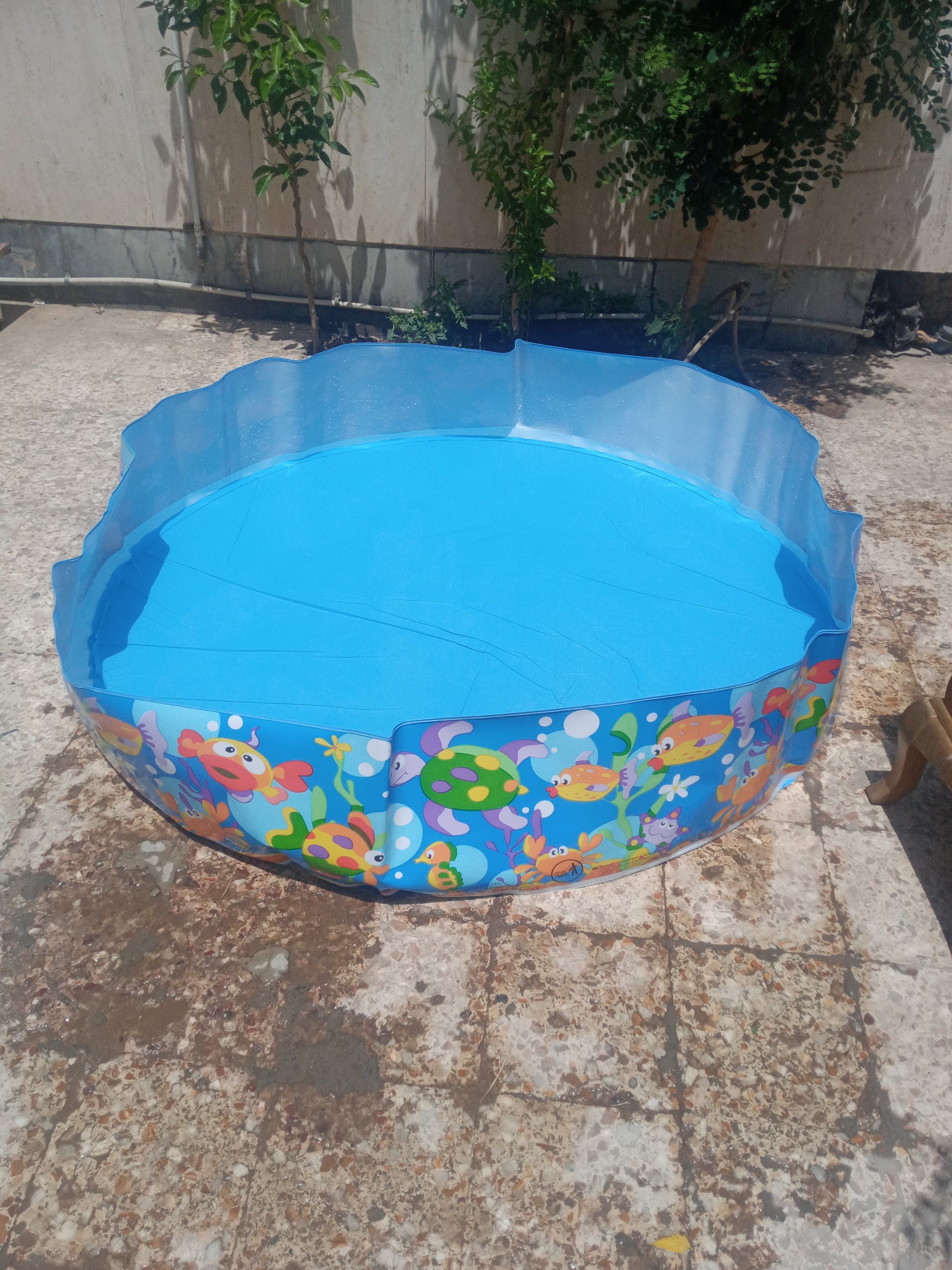 استخر اینتکس 183سانتی متر قطر و38 ارتفاع