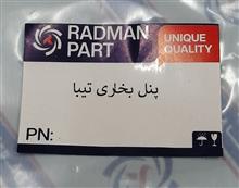 پنل