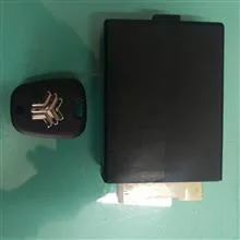 ریموت