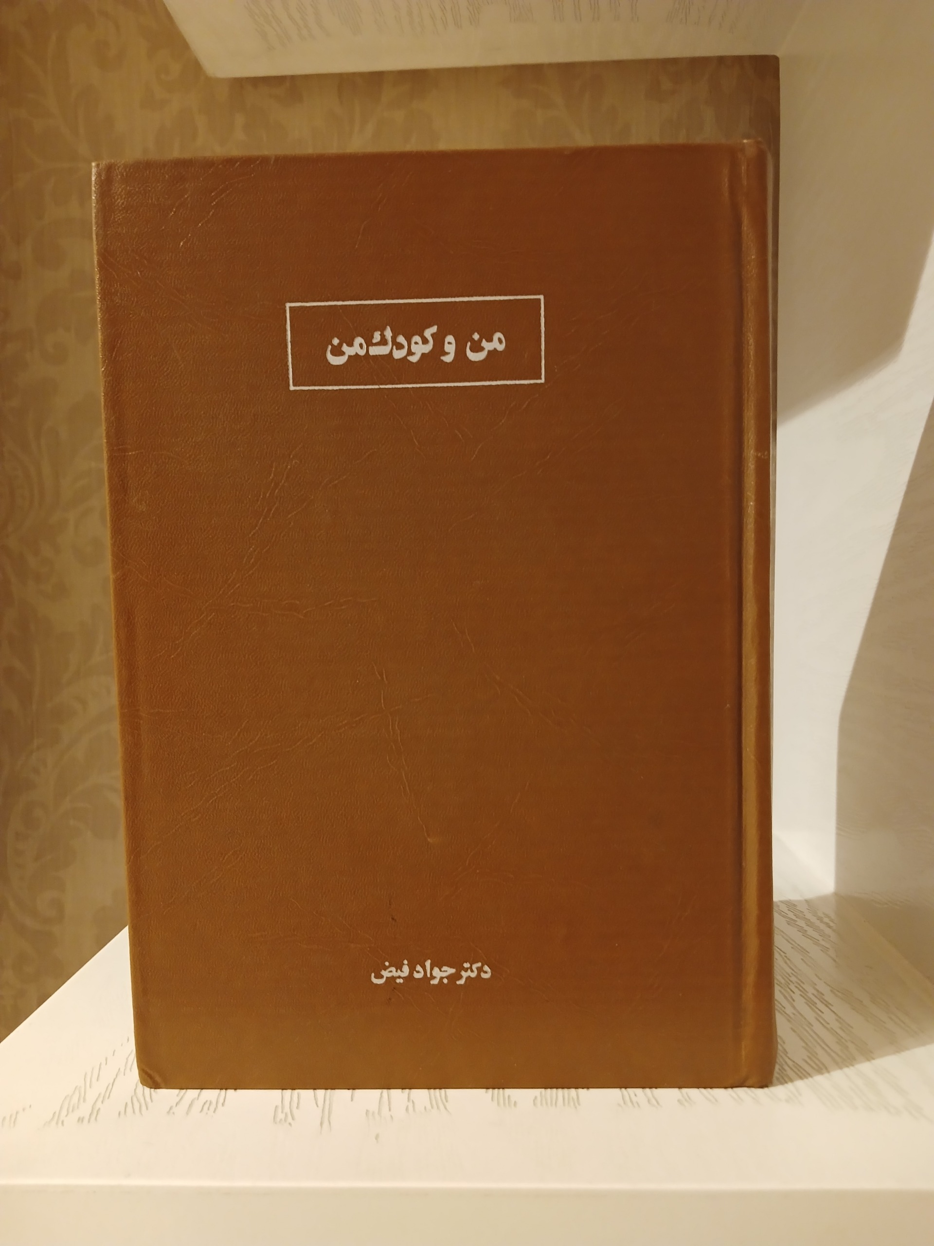 من و کودک من _ جواد فیض