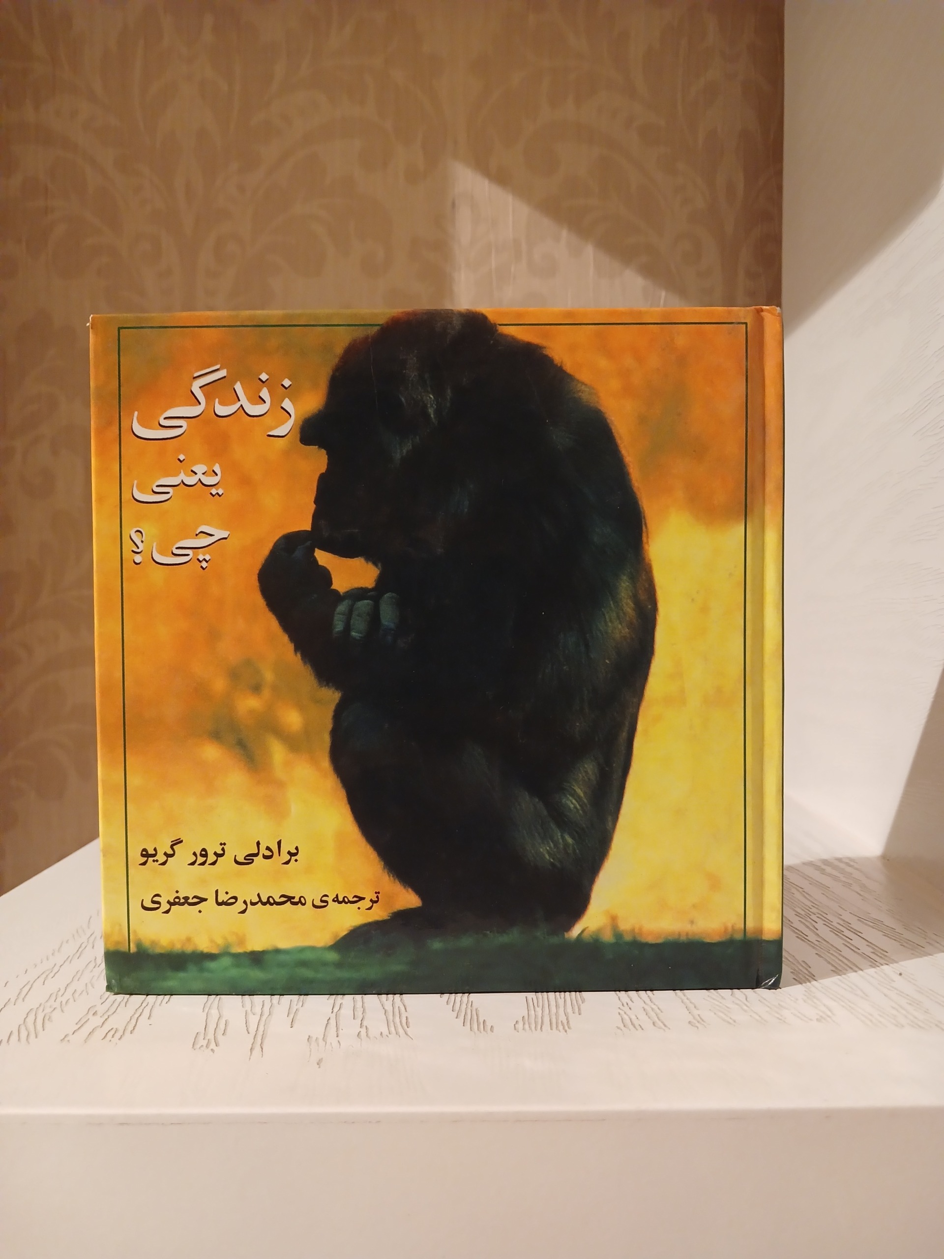 زندگی یعنی چه