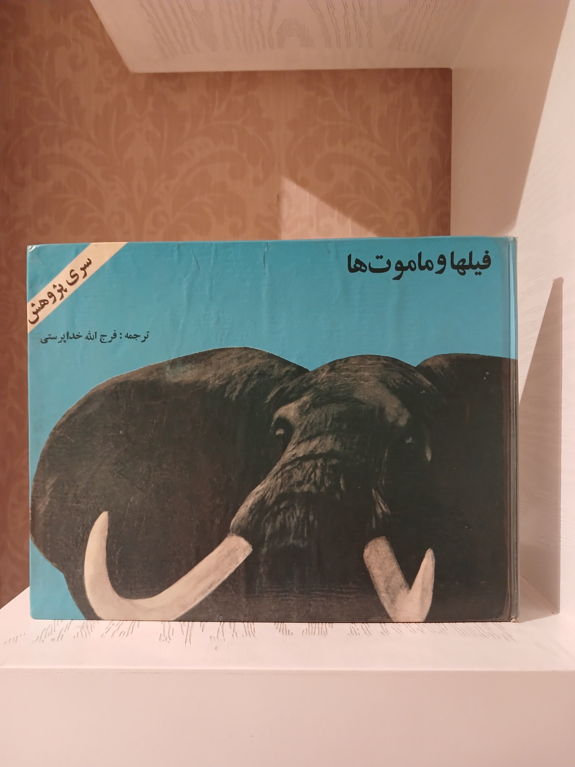 فیلها و ماموت ها