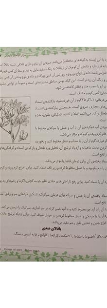 دایره