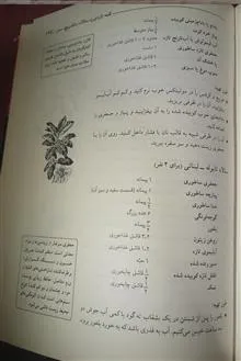آشپزی