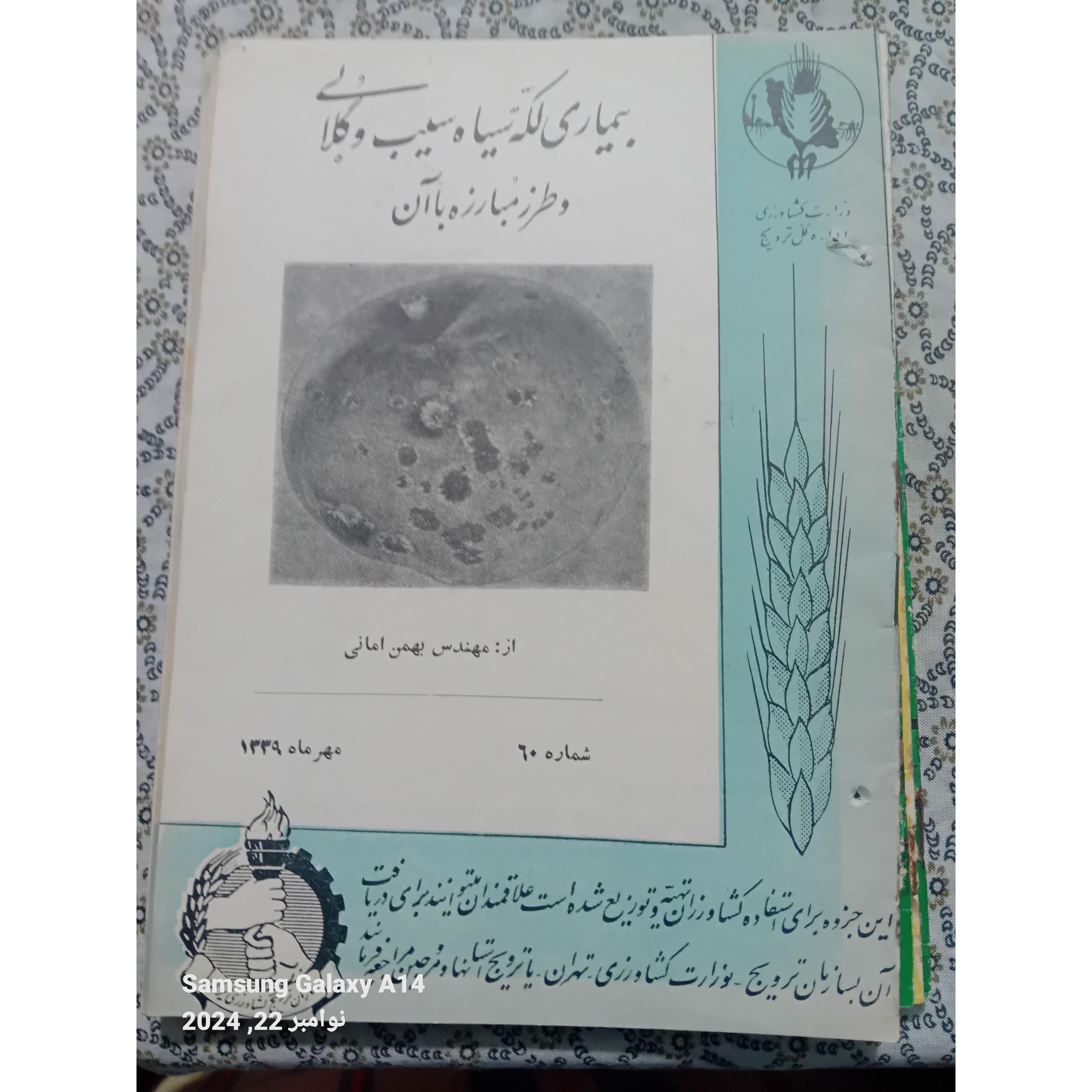 کتاب بیماری لکه سیاه سیب وگلابی
