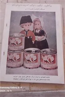نشریه