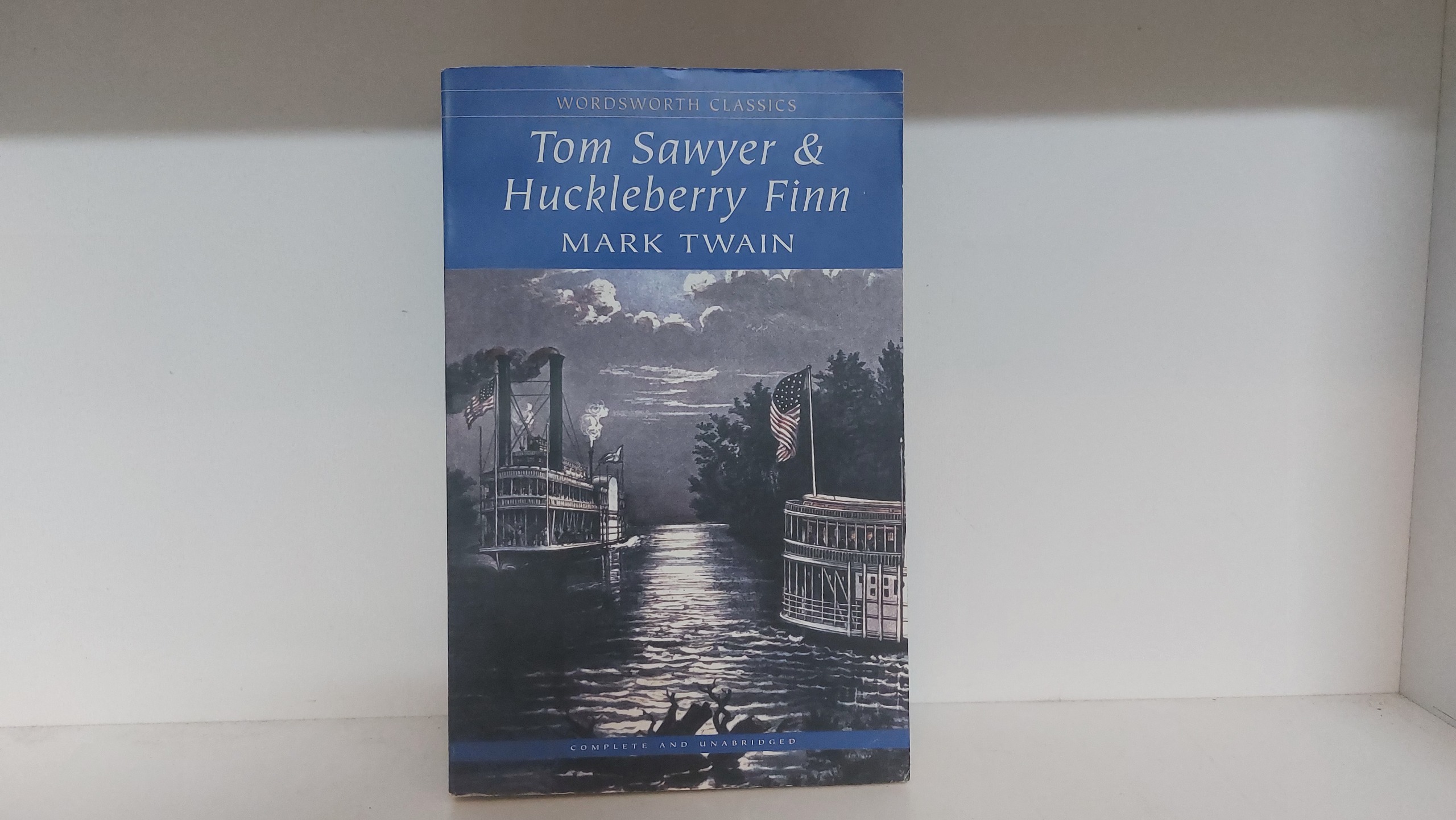 Tom Sawyer and Huckleberry Finn