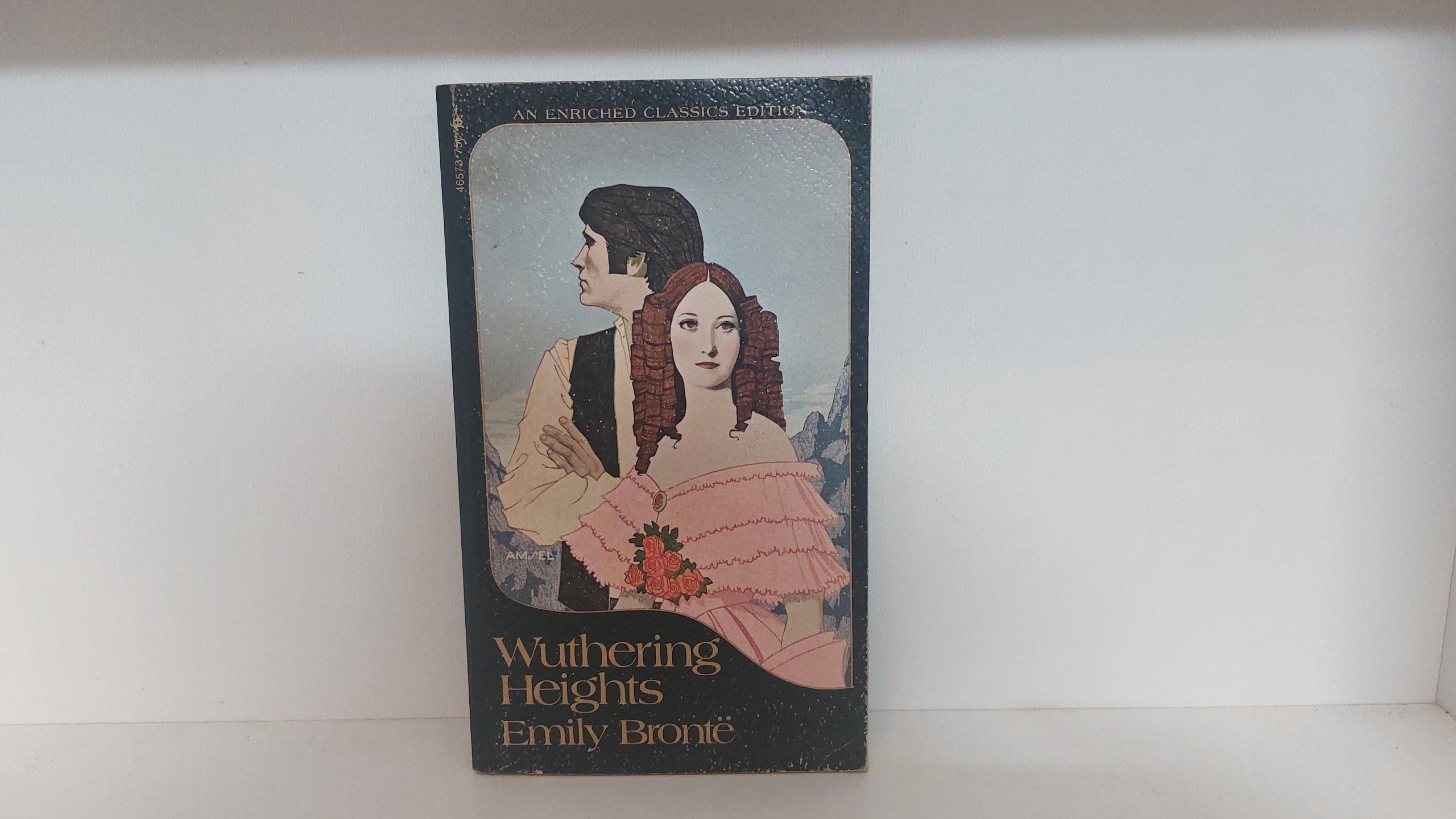 Wuthering Heights Emily Bronte