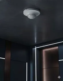 سنسور