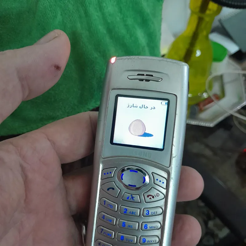 گوشی سامسونگ مدل C100ساخت کره
