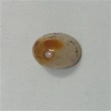 نگین