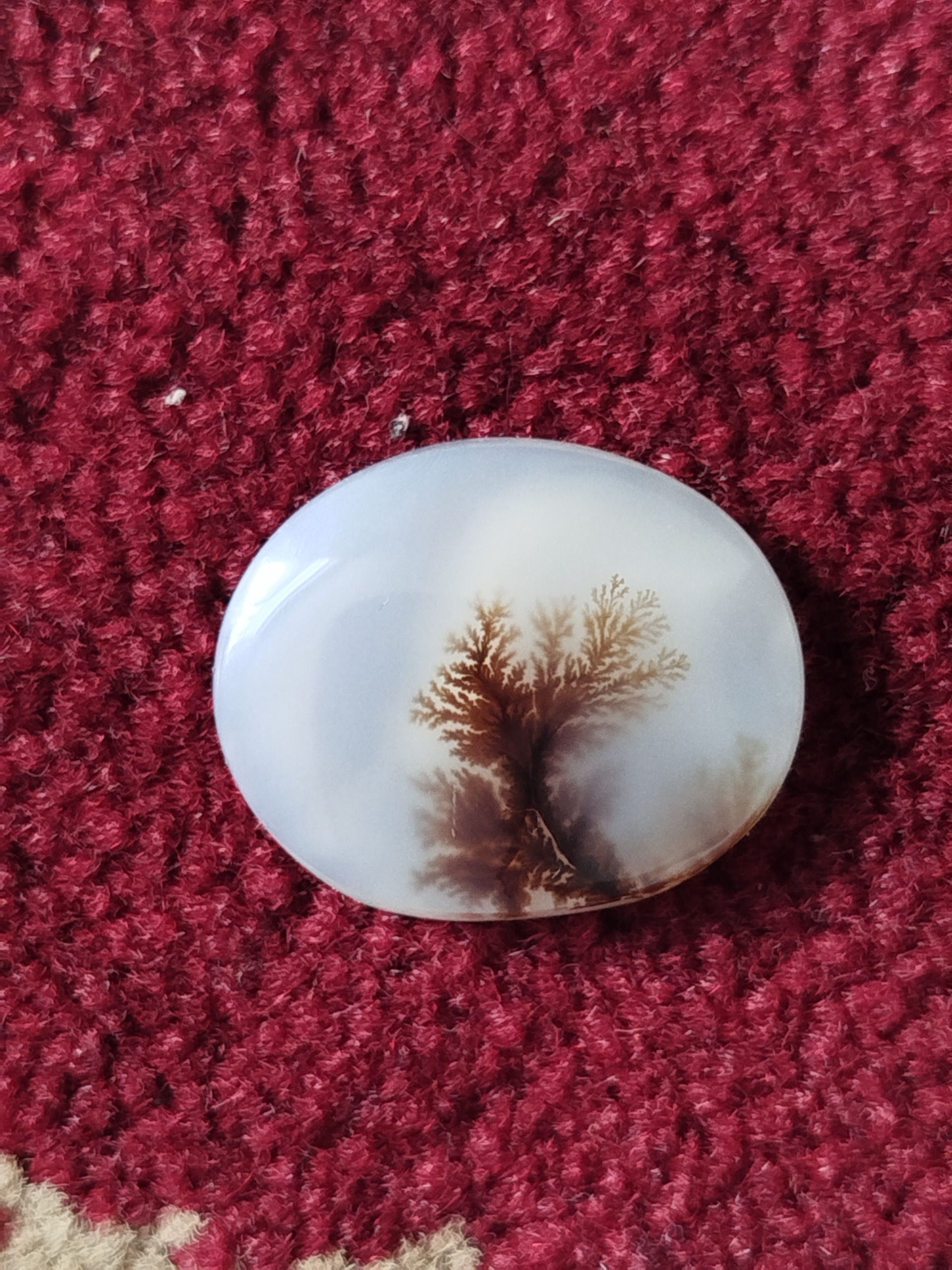 نگین شجر ناب