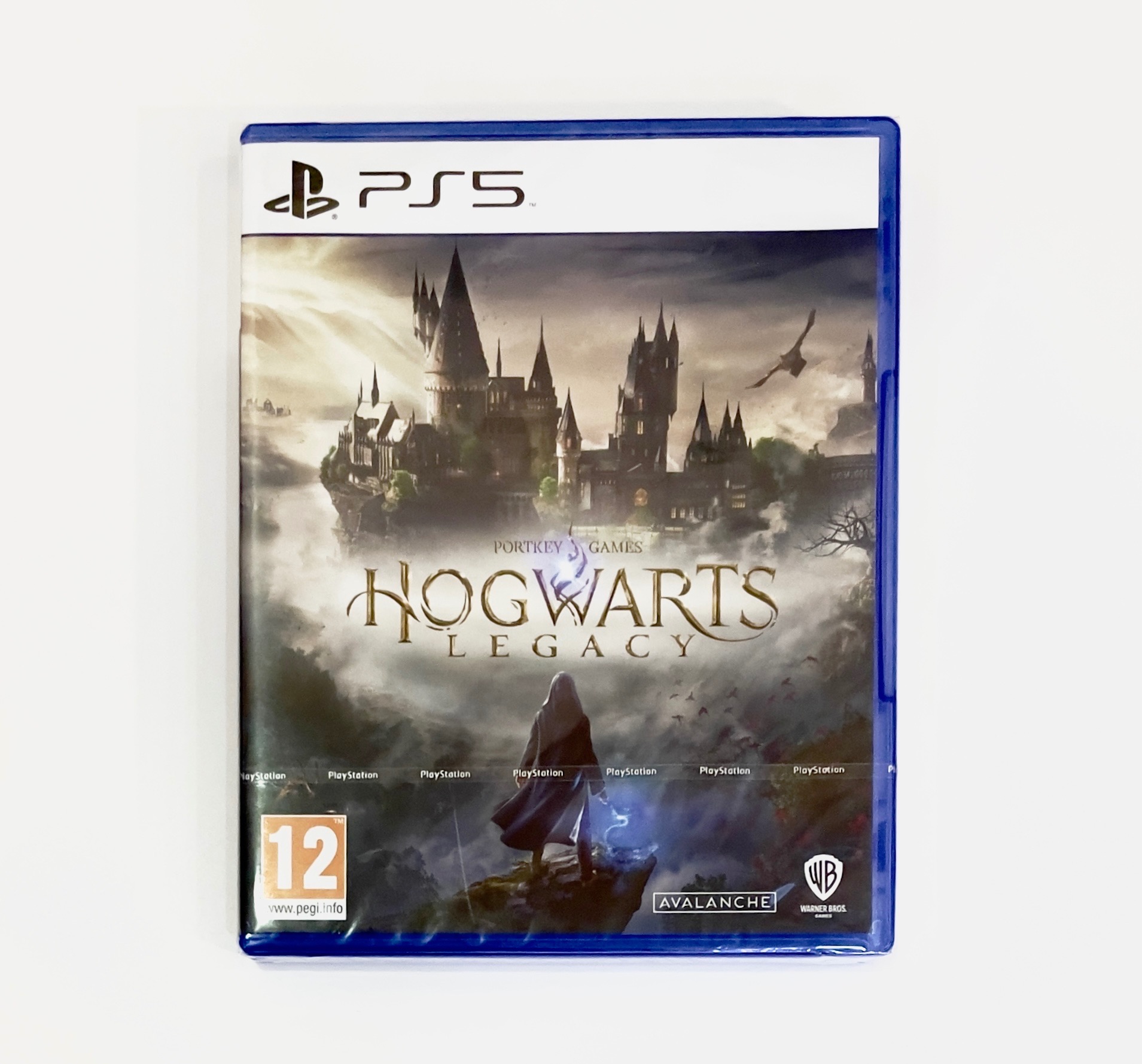 پلمپ HOGWARTS LEGACY PS5