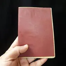شناسنامه