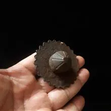 گل