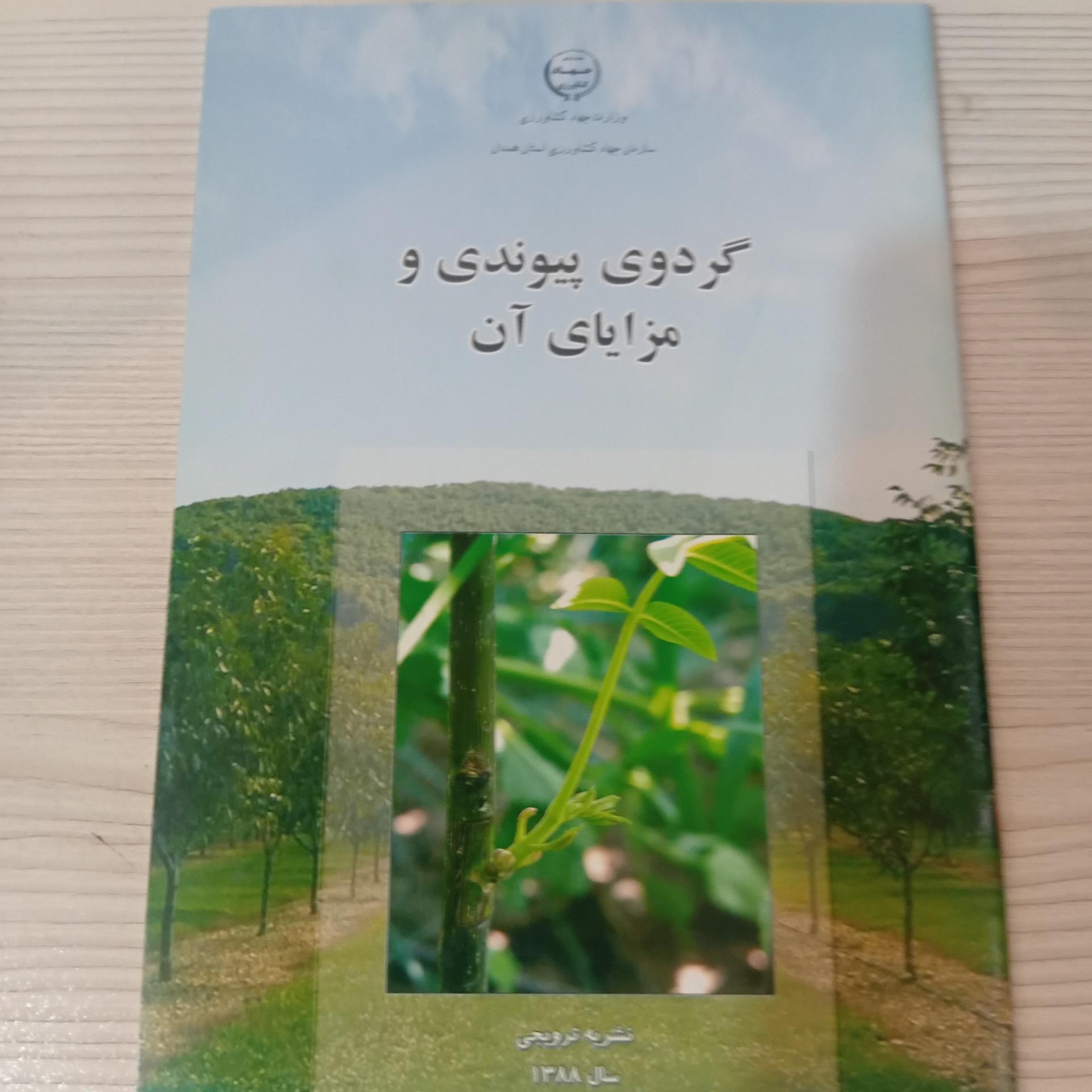گردوی پیوندی و مزایای آن