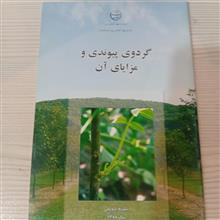 گردوی