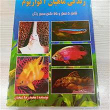 زندگی