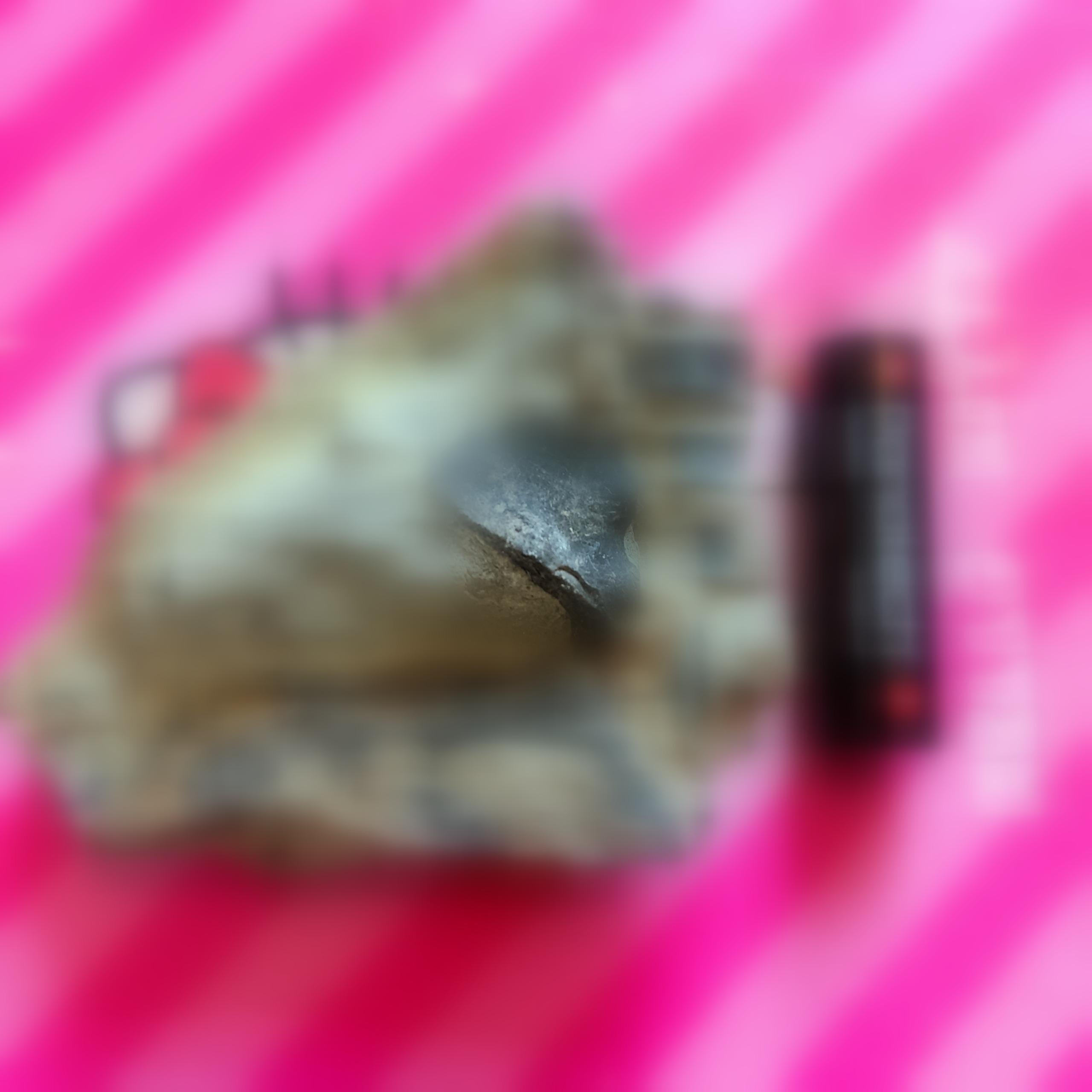 فسیل ستون فقرات مهره داران دریایی کپه داغ