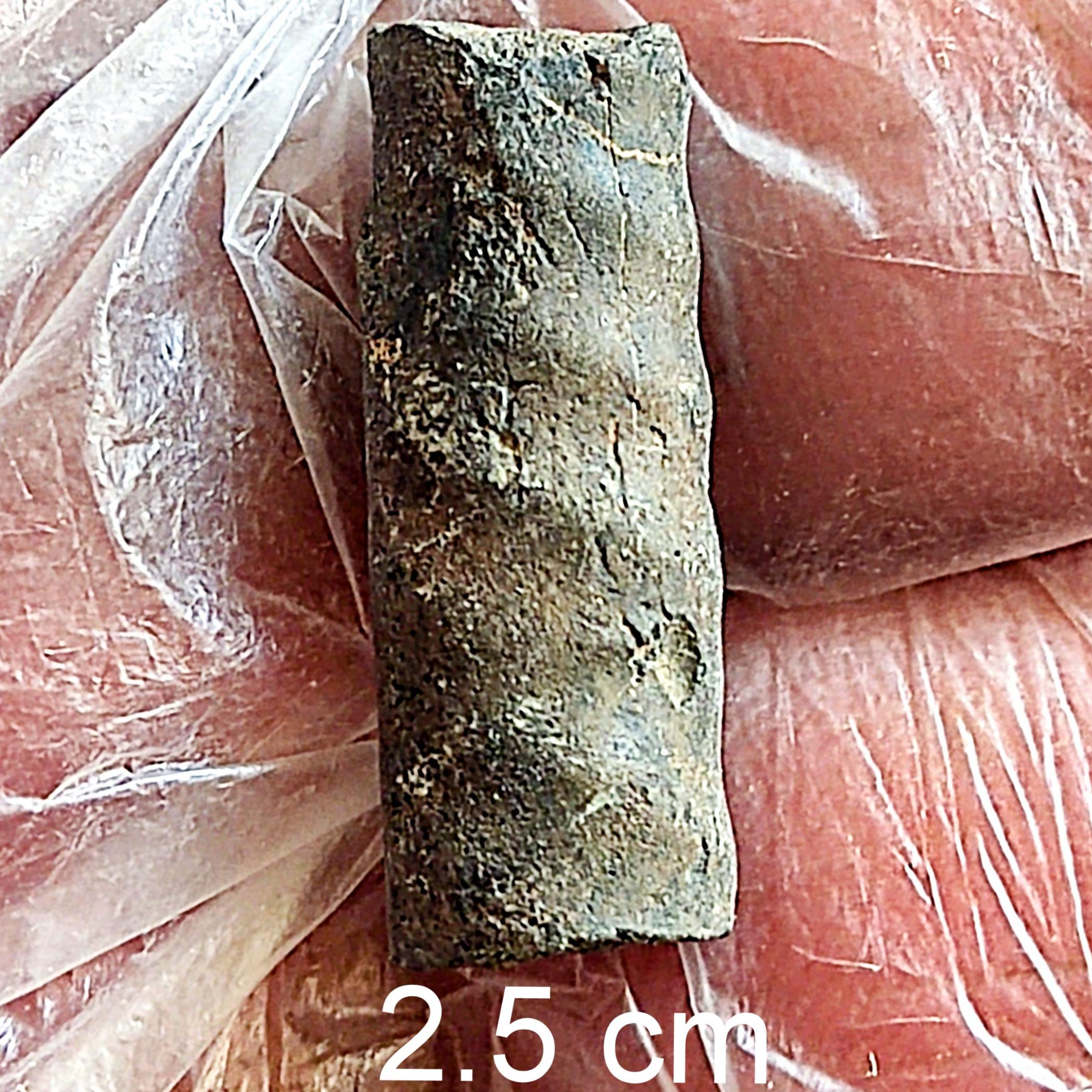 فسیل آمونیت هترومورف کرتاسه ن گاستروپود شکسته