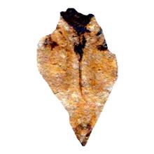 نخستین