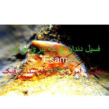 مرکزتخصصی