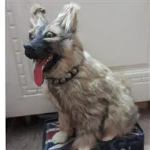 مجسمه