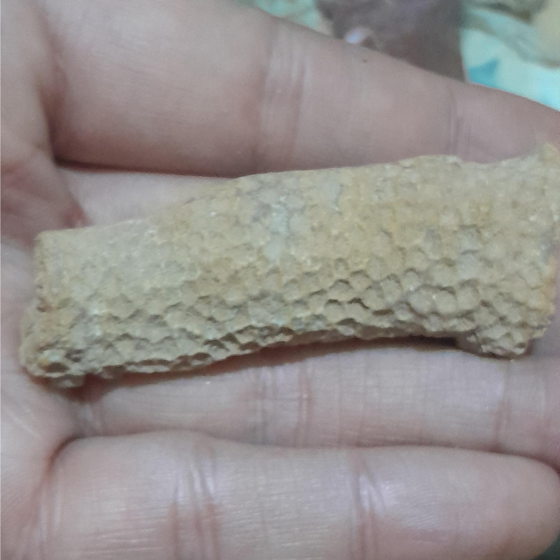 فسیل مرجان زیبا