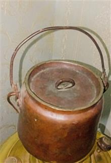 دیزی