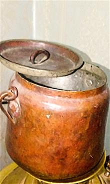 دیزی