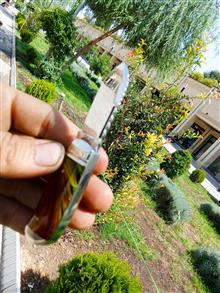 چاقوکلکسیون