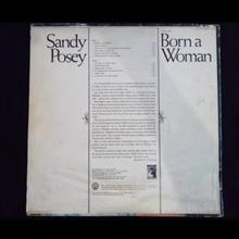 Sandy