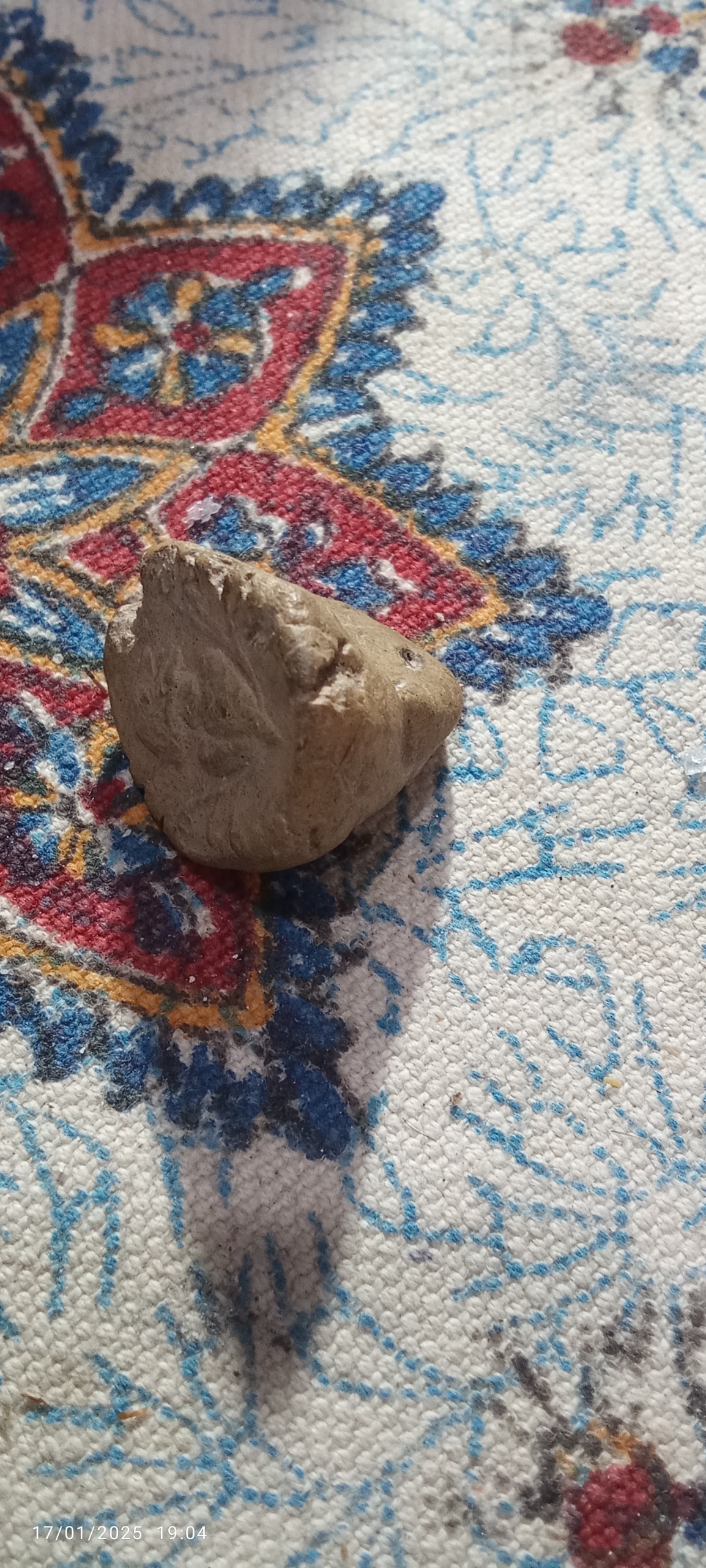 گل مهر کهنه