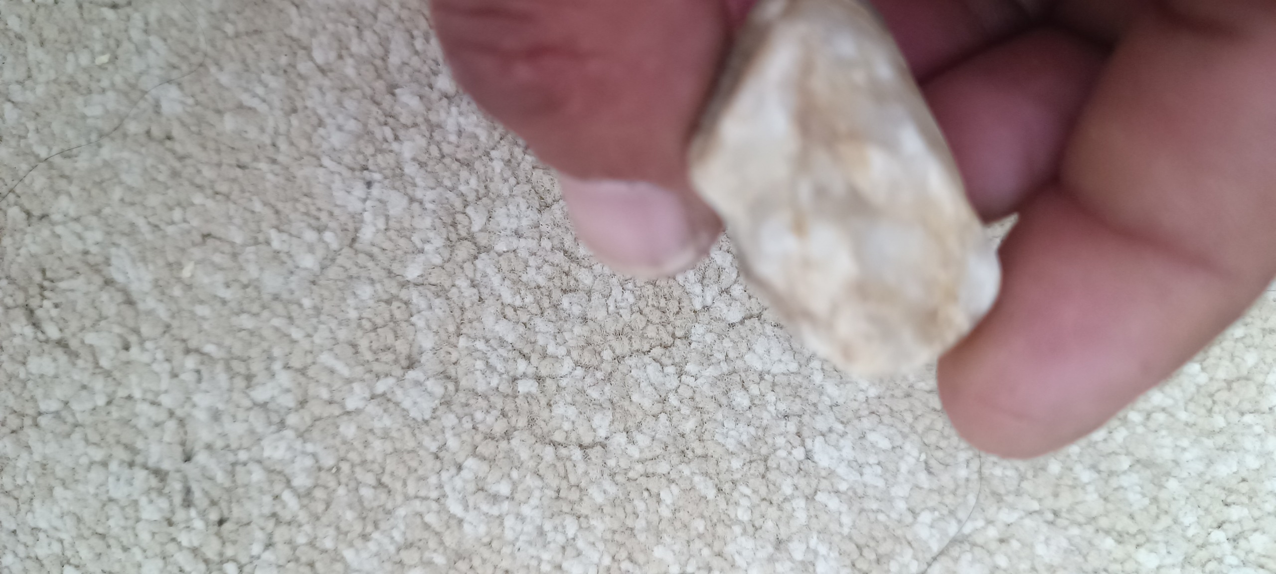 راف عقیق نباتی معدنی