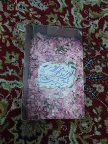 مرلین