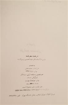 درخت