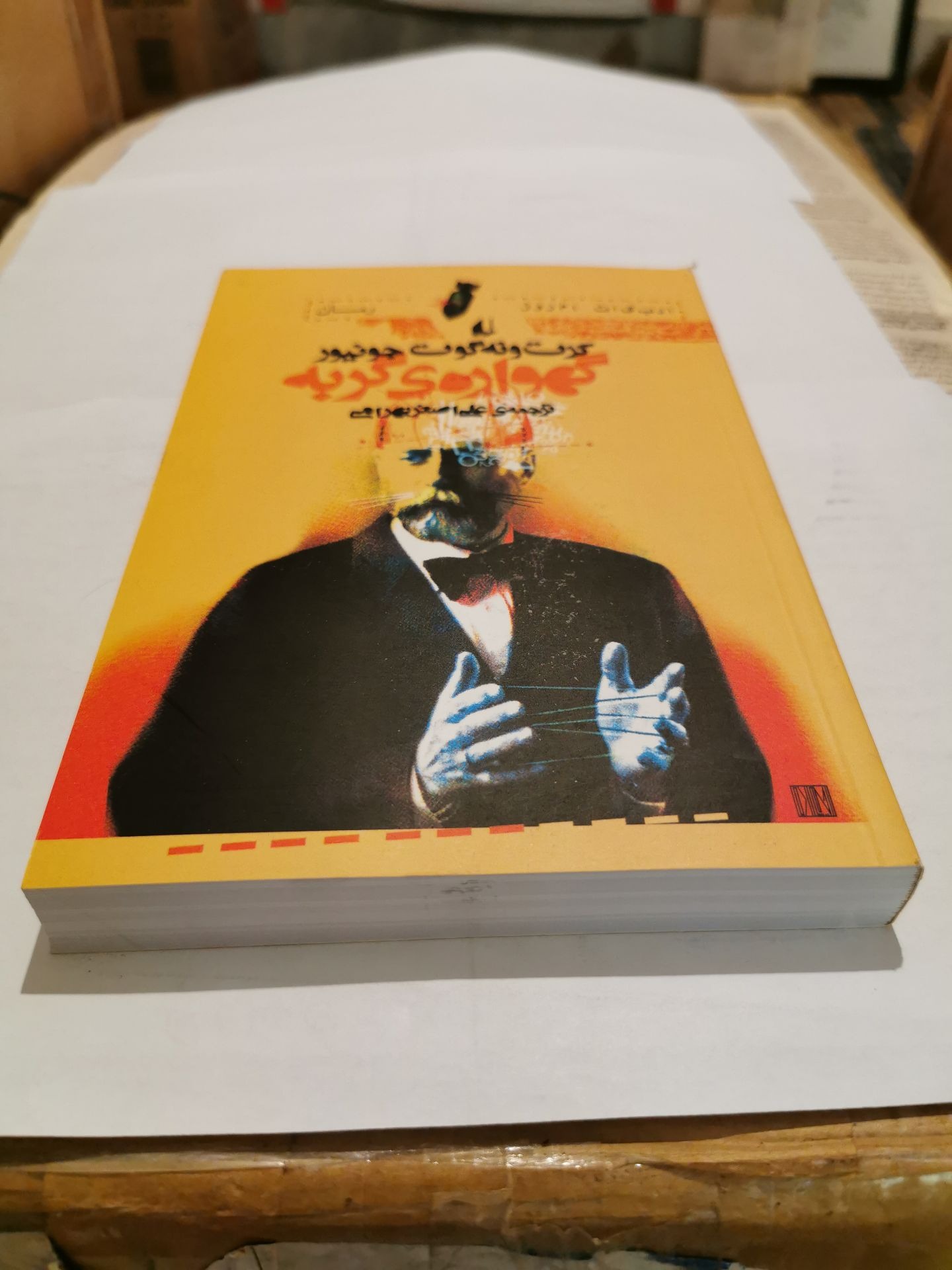 گهواره گربه اثر کرت ونه گوت جونیور