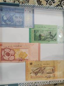 تخفیف