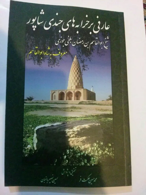 عارفی بر خرابه های جندی شاپور