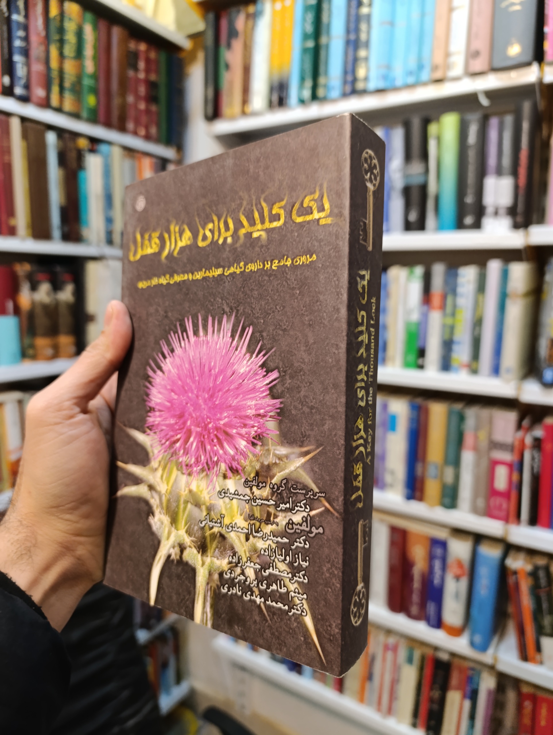 یک کلید برای هزار قفل (مروری جامع بر داروی گیاهی )