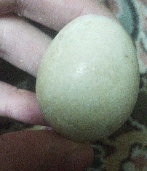 سنگ آسیاب(الماس) سفید معدنی زیبا 43 گرم