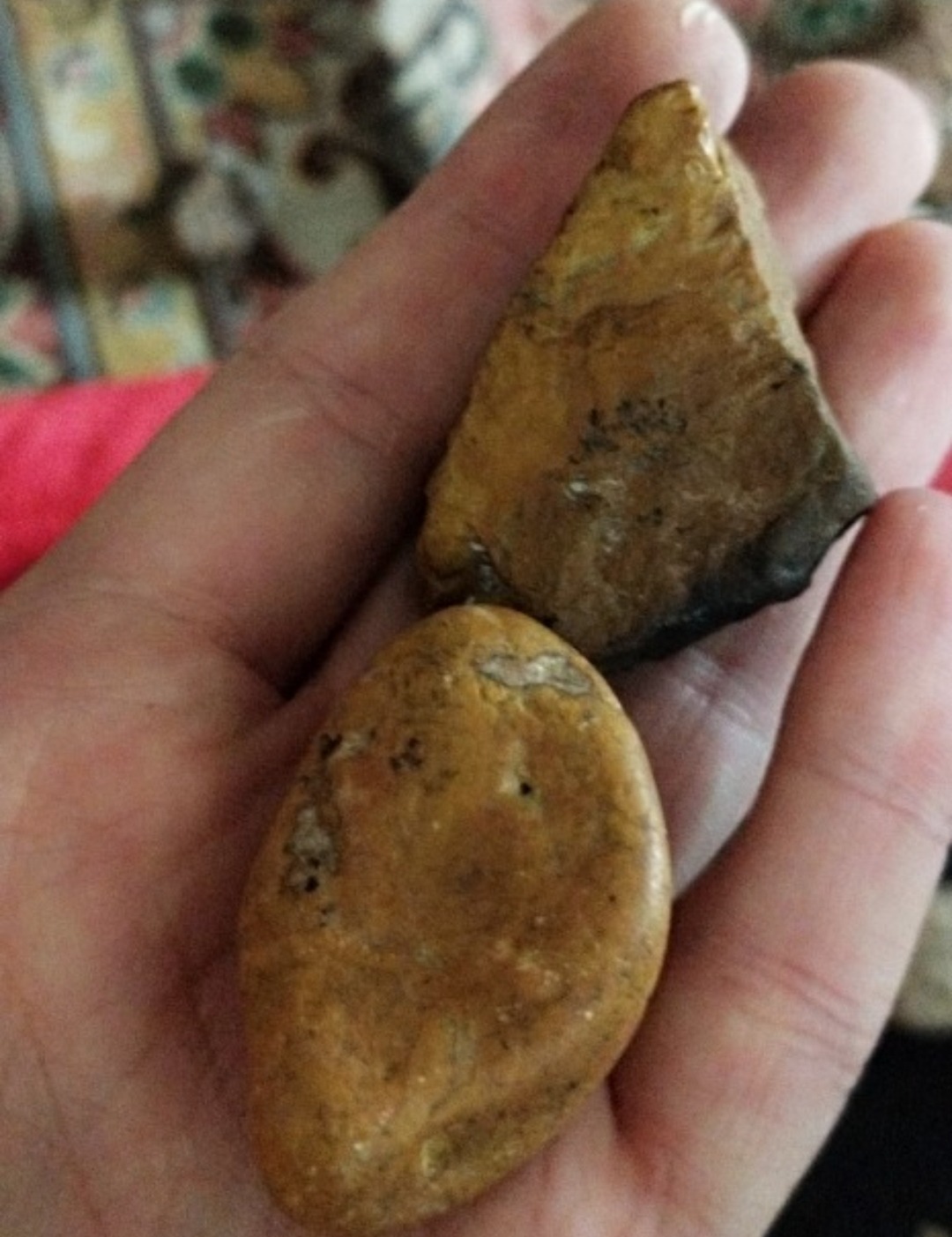 2 عدد راف جاسپر معدنی ترازوکش 73 گرم