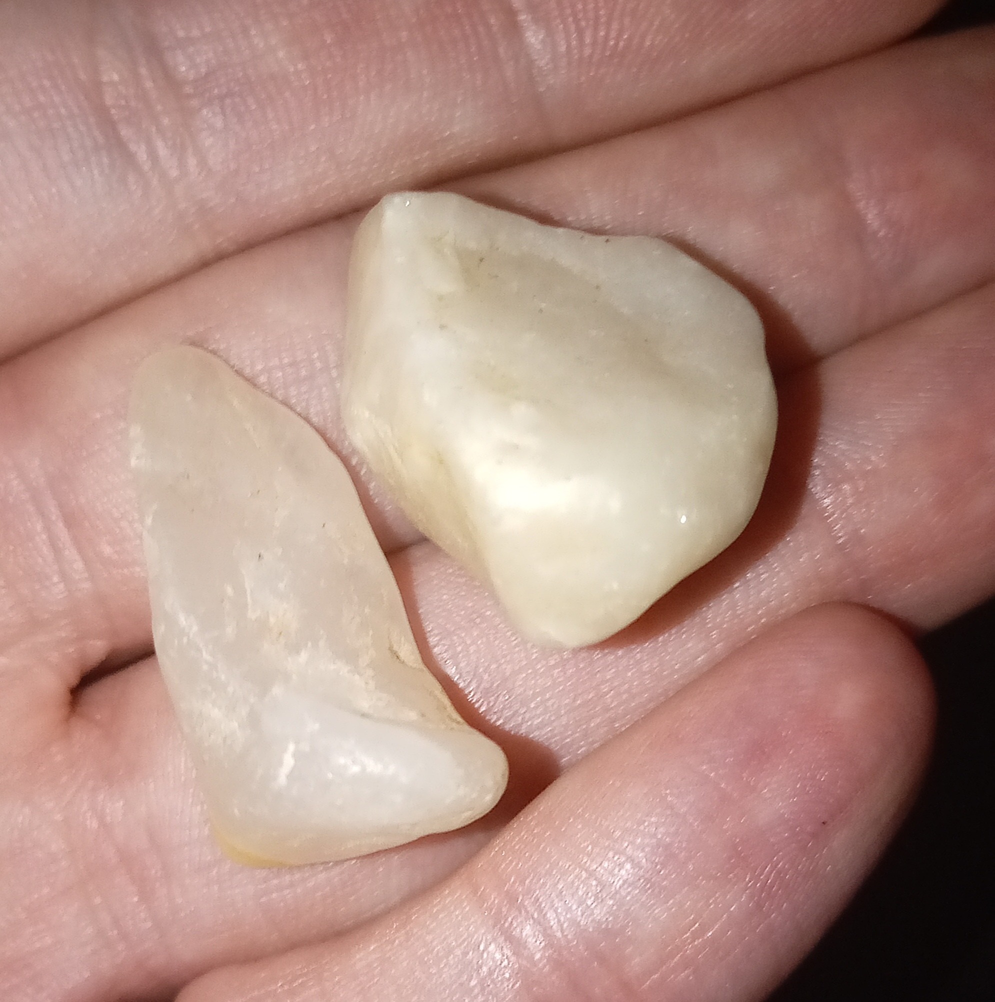 2 عدد سنگ معدنی کوارتز سفید خواص عالی