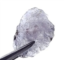 راف