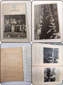 اخبار