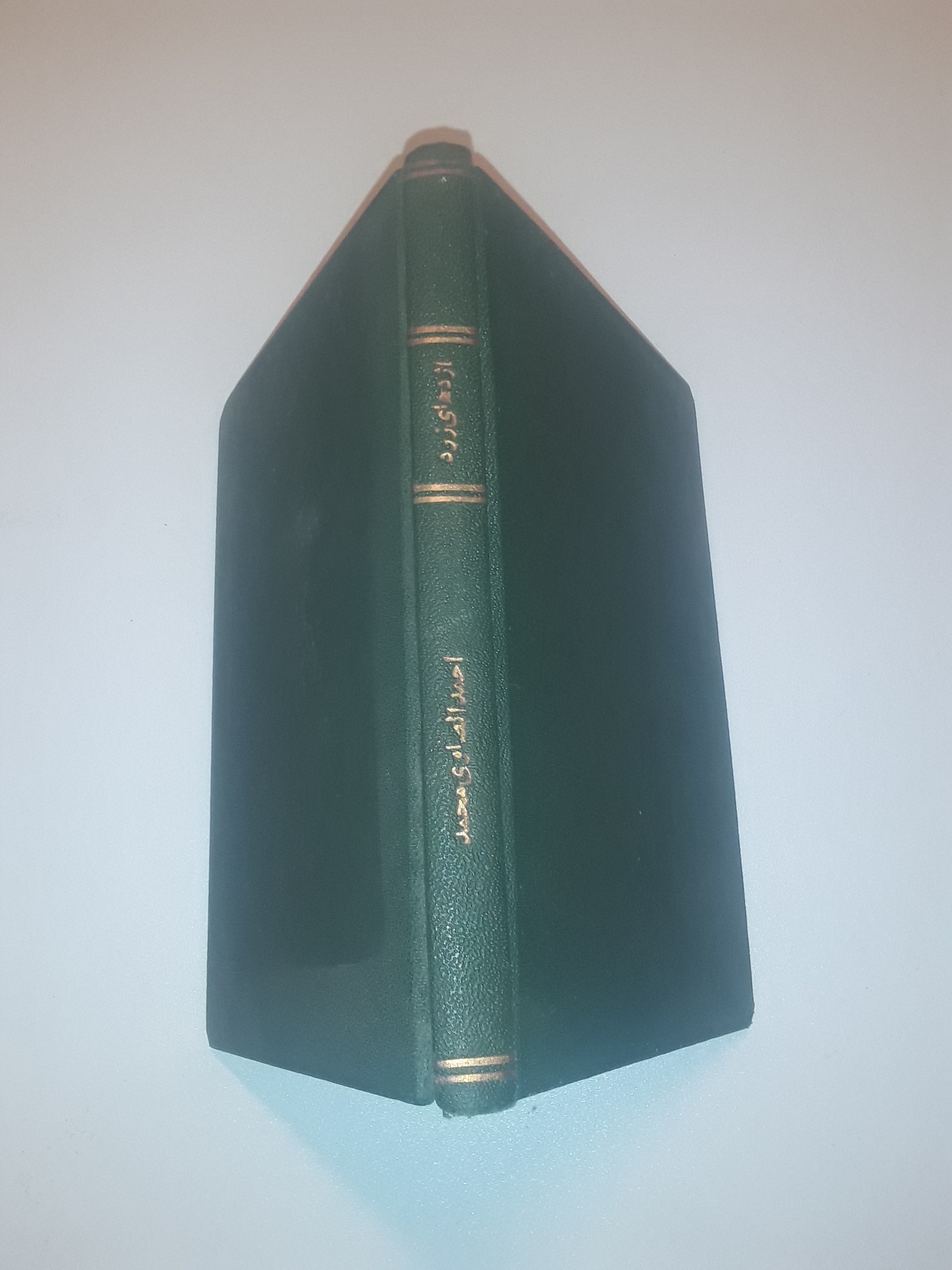 کتاب اژدهای زرد